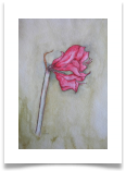 Bild_33