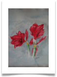 Bild_35