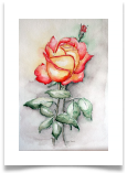 Bild_37