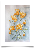 Bild_39