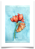 Bild_42