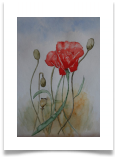 Bild_48