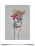 Bild_52