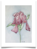 Bild_53