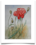 Bild_56