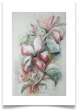 Bild_58