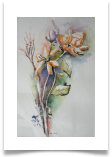 Bild_59