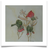 Bild_62