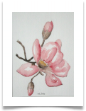 Bild_70