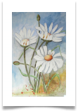 Bild_71