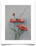 Bild_75
