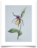 Bild_81